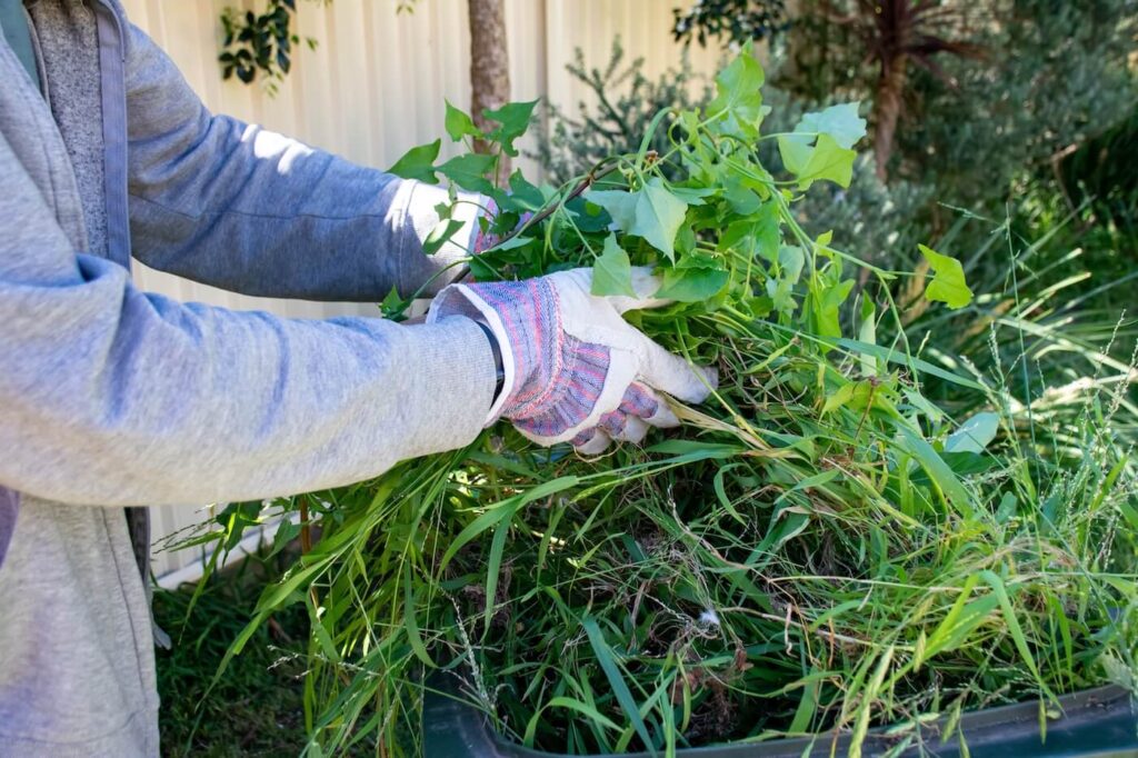 Green Waste Pickup