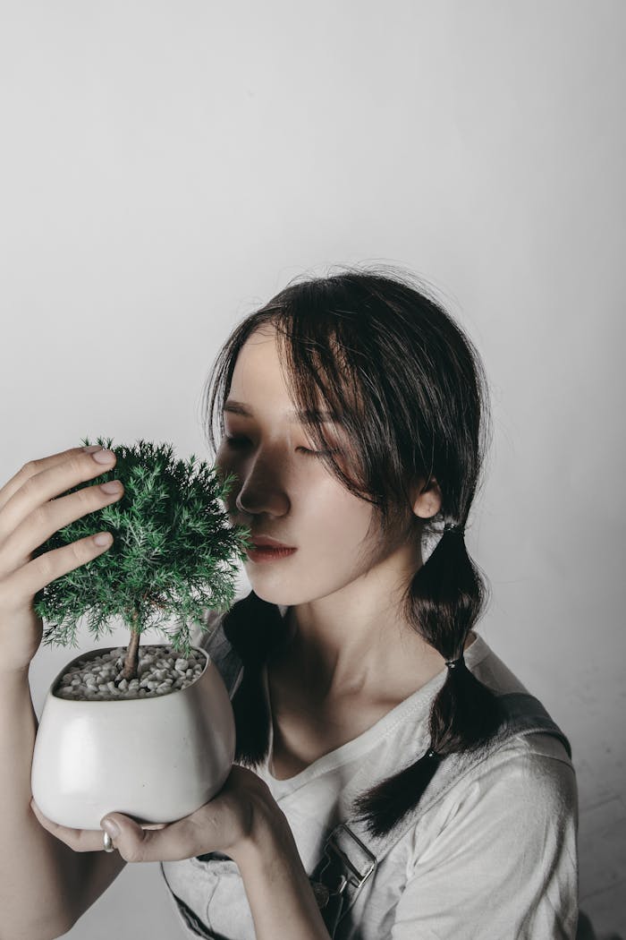 Asian woman in a studio holding a potted bonsai tree, embracing nature indoors.