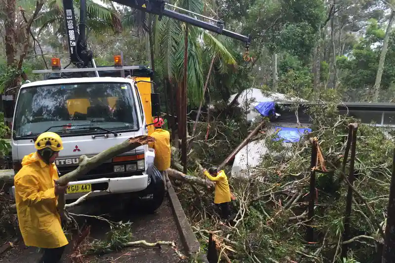 Tree Removal Services Sydney