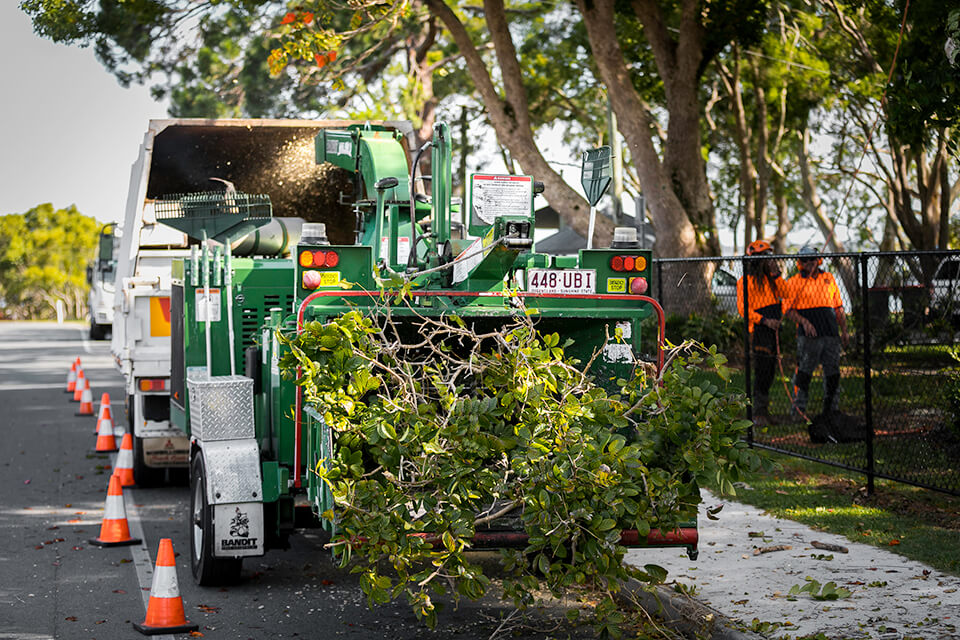 Tree Services